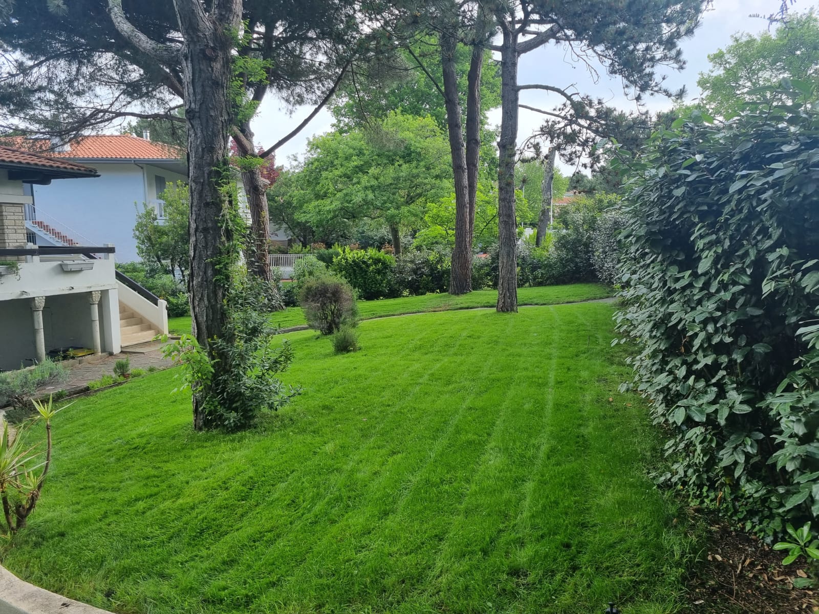 Paysagiste gujan