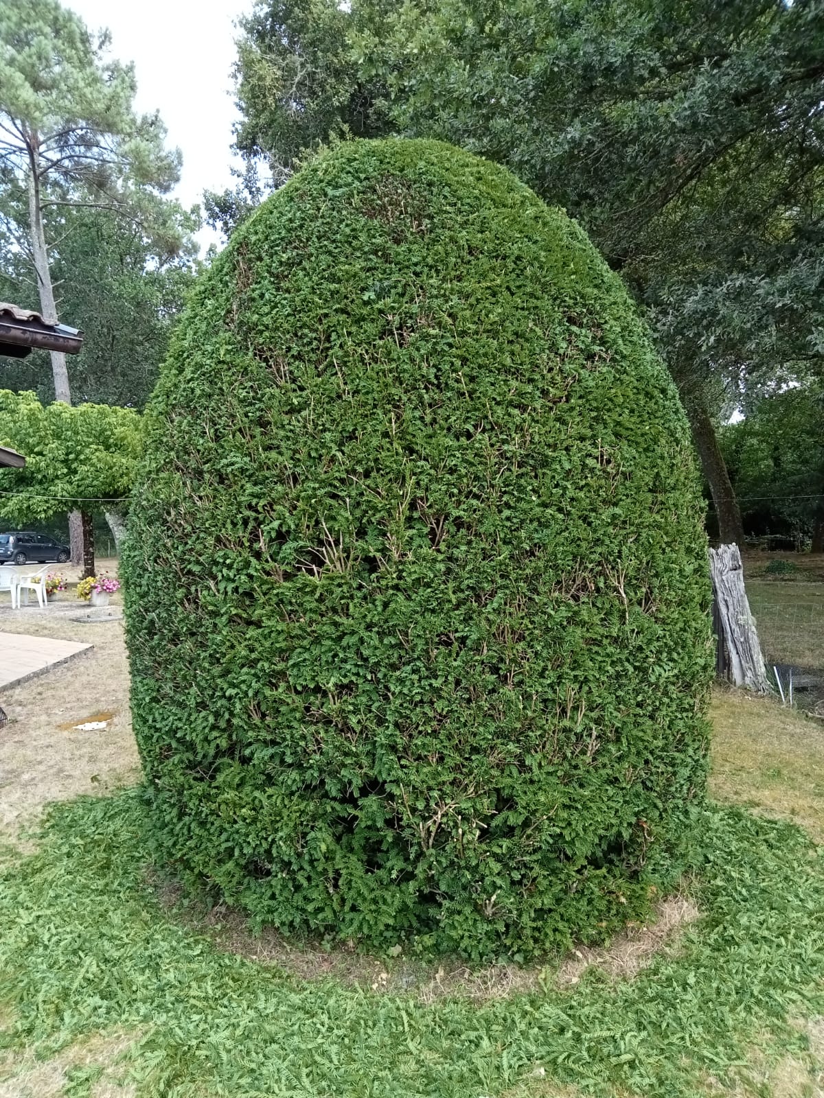 paysagiste Sanguinet